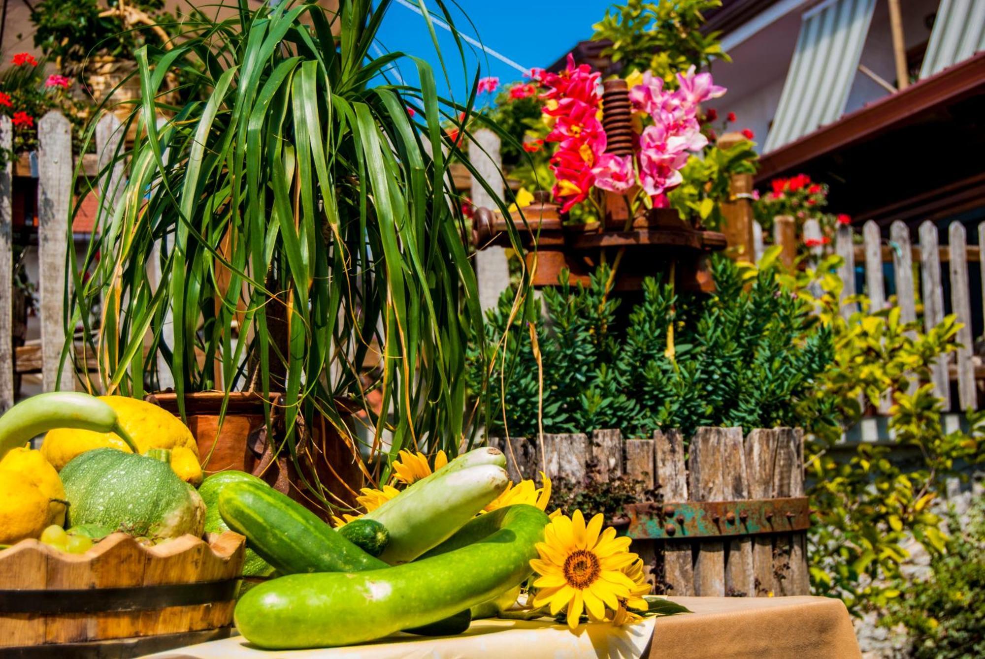 Agriturismo Mare E Monti Agerola Kültér fotó