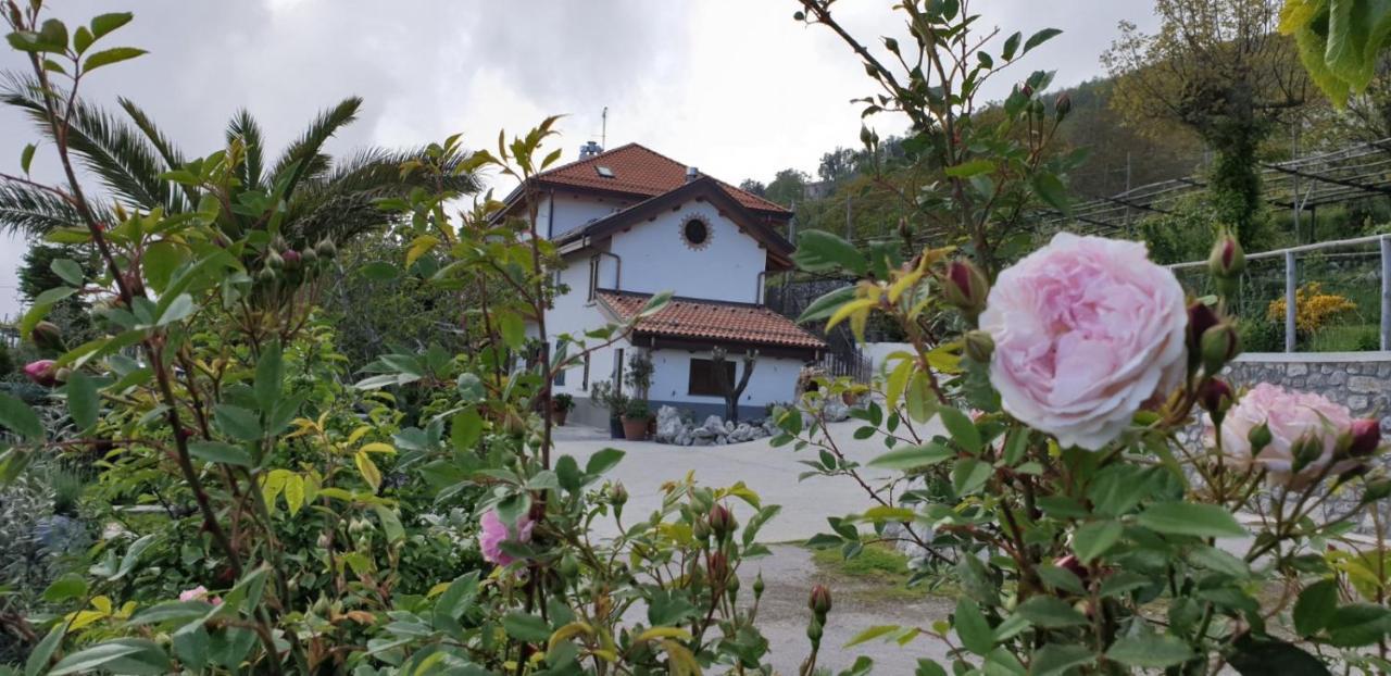 Agriturismo Mare E Monti Agerola Kültér fotó